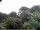 Webcam in Audley, 30.1 mi away