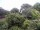 Webcam in Audley, 47.7 mi away