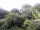 Webcam in Audley, 31.3 mi away