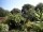 Webcam in Audley, 61 km