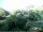 Webcam in Audley, 46 mi away