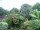 Webcam in Audley, 28.8 km