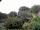 Webcam in Audley, 28.3 mi away