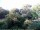 Webcam in Audley, 123.1 km