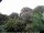 Webcam in Audley, 50.2 mi away