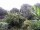 Webcam in Audley, 30.1 mi away