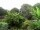 Webcam in Audley, 123.5 km