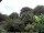 Webcam in Audley, 28.8 km