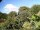 Webcam in Audley, 49.1 km