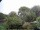 Webcam in Audley, 53 km entfernt