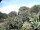 Webcam in Audley, 11.1 mi away