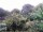 Webcam in Audley, 18.3 mi away