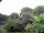Webcam in Audley, 103.8 km