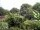 Webcam in Audley, 11.1 mi away
