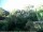 Webcam in Audley, 88.5 km