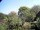 Webcam in Audley, 31.3 mi away