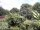 Webcam in Audley, 7.6 mi away