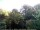 Webcam in Audley, 88.5 km
