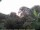 Webcam in Audley, 7.6 mi away