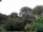 Webcam in Audley, 7.5 mi away