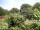 Webcam in Audley, 123.1 km