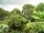 Webcam in Audley, 23.7 mi away