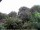 Webcam in Audley, 16.5 mi away