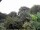 Webcam in Audley, 19.2 km