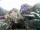 Webcam in Audley, 31.3 mi away