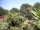 Webcam in Audley, 18.3 mi away