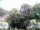 Webcam in Audley, 81.1 km entfernt
