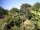 Webcam in Audley, 11.1 mi away