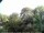 Webcam in Audley, 19.6 km