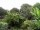 Webcam in Audley, 7.5 mi away