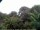 Webcam in Audley, 130.2 km