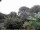 Webcam in Audley, 70.6 km