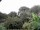 Webcam in Audley, 7.6 mi away