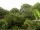 Webcam in Audley, 27.3 mi away