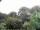 Webcam in Audley, 24.3 km