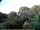 Webcam in Audley, 7.6 mi away