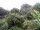 Webcam in Audley, 47.7 mi away