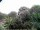 Webcam in Audley, 23.7 mi away