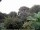 Webcam in Audley, 48.9 km