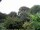 Webcam in Audley, 46.2 km