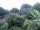 Webcam in Audley, 18.3 mi away