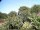 Webcam in Audley, 34.2 mi away