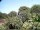 Webcam in Audley, 47.5 mi away