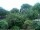 Webcam in Audley, 23.1 mi away