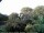 Webcam in Audley, 70.6 km