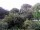 Webcam in Audley, 123.5 km